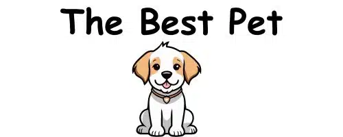 the best pet