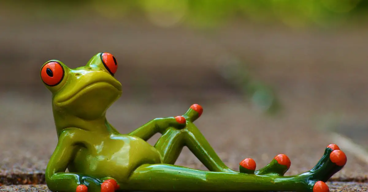 Keeping frogs at home in the UK: #1 Guide